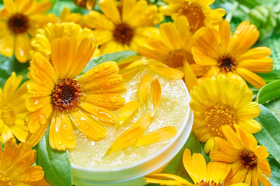 Przepisy na maści i żele z dmso które możesz zrobić w domu.